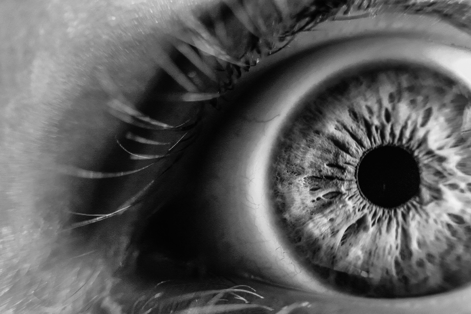 Gros plan artistique d’un regard en noir et blanc